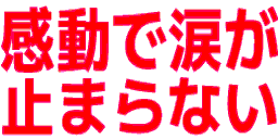 :kandou_de_namida_ga_tomaranai: